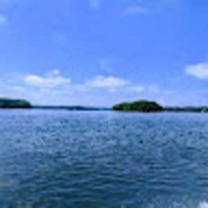 Meet your Posher, Jesse